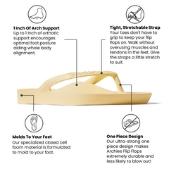 Lemon flip flop with features highlighted on a white background